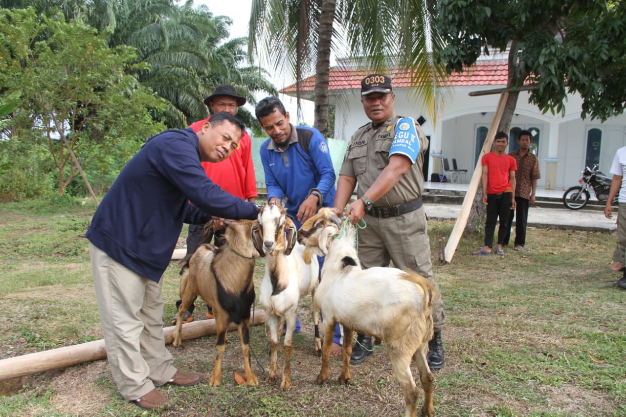 PEMOTONGAN HEWAN QURBAN DALAM RANGKA HARI RAYA IDUL ADHA 1439 H DI BALAI PENGEMBANGAN KOMPETENSI SATUAN POLISI PAMONG PRAJA DAN PEMADAM KEBAKARAN (BPSDM) ROKAN HILIR